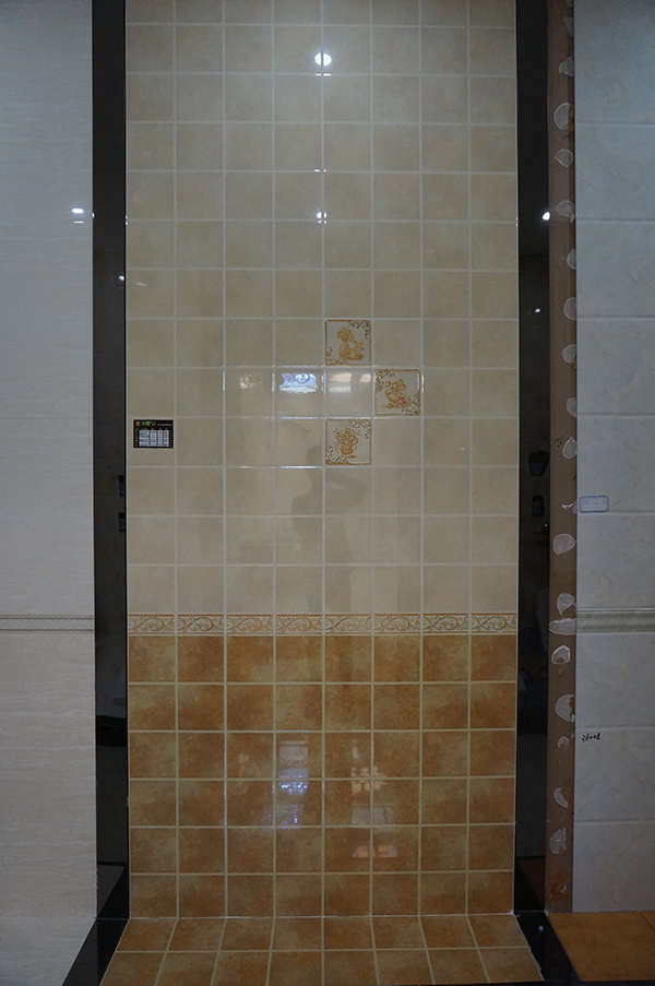 DSC02345.JPG
